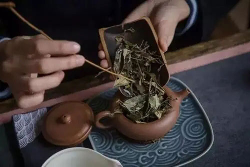 紫砂壺可以沖泡白茶嗎1