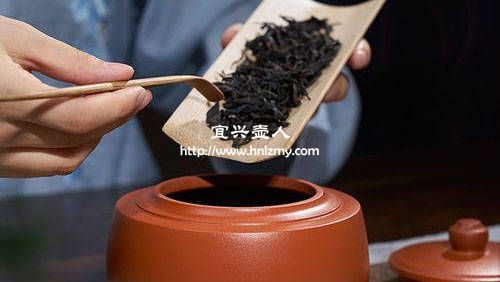 100ml的紫砂壺適合泡老生普嗎