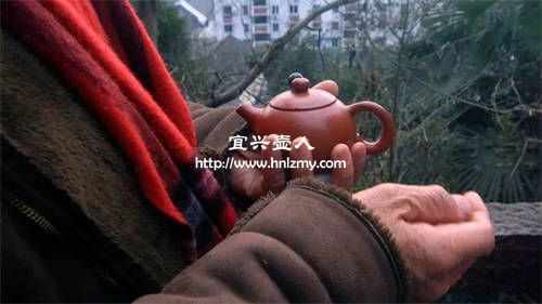 紫砂壺泡普洱茶與六堡茶要分開嗎3