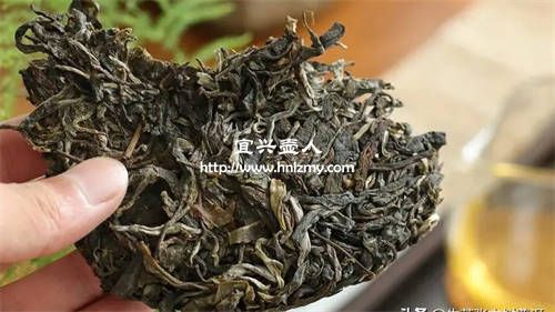 吐黑的紫砂壺泡什么茶葉好