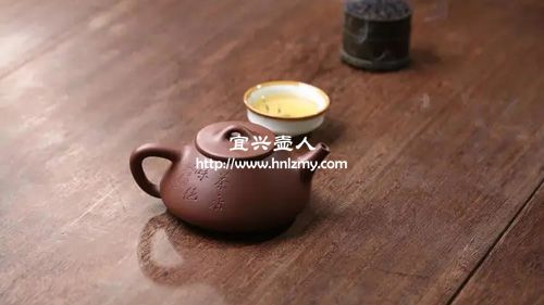 各種泥料紫砂壺泡什么茶比較好