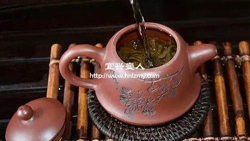不同泥料紫砂壺泡什么茶