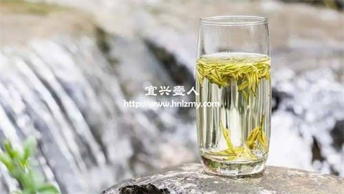 喝白茶用什么紫砂壺泡最好