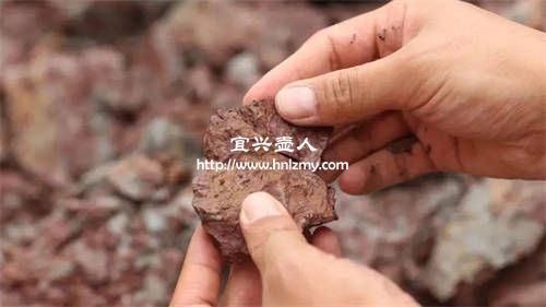 紫砂壺清水泥和紫泥有什么不一樣