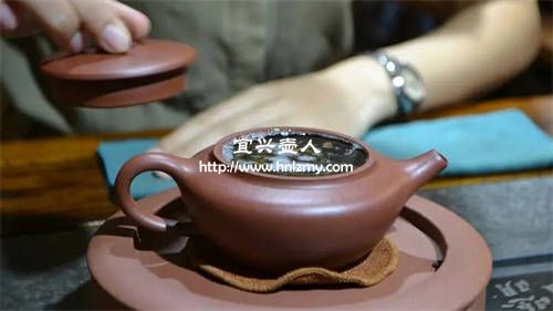 普洱生茶用什么泥料的紫砂壺泡好