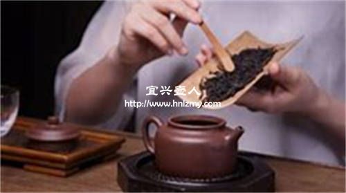 一個人喝茶100cc的壺小不小