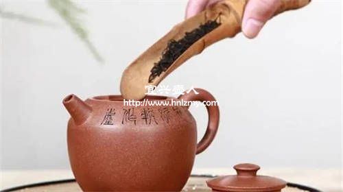 用紫砂壺怎么泡普洱茶