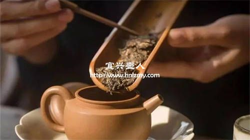 用紫砂壺怎么泡普洱茶