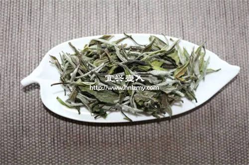 白牡丹用多大的紫砂壺泡最合適