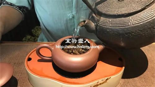 選哪種紫砂壺適合泡普洱茶