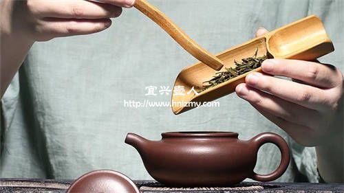 一個紫砂壺可以泡多種茶葉嗎