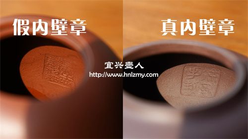 真內壁章和假內壁章是有區別的