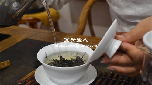嶗山綠茶能用紫砂壺泡嗎