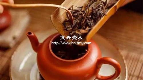 老壽眉用什么紫砂壺壺型泡好