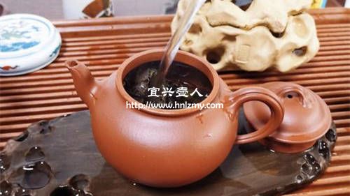 老壽眉泡茶用什么紫砂壺