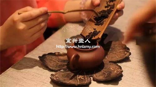 泡熟普洱用多大容量的紫砂壺1