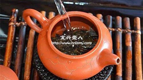 普洱生茶用什么紫砂壺最好2