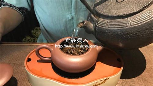 普洱生茶用什么紫砂壺最好1