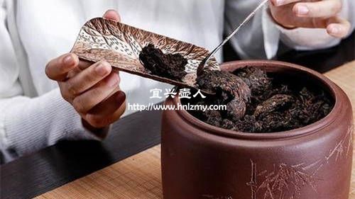 泡熟普洱用多大容量的紫砂壺2