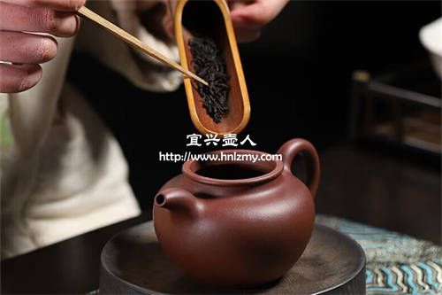 底槽清一壺可以喝多種茶嗎1