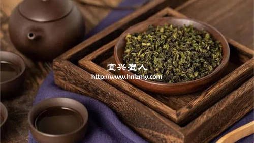 紫泥和本山綠泥哪個泡烏龍茶好