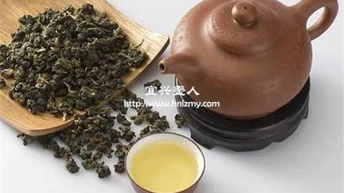 紫泥和本山綠泥哪個泡烏龍茶好