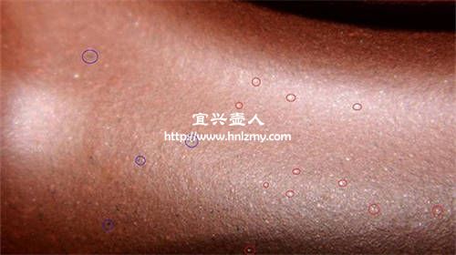 紫砂壺上的星光就是云母顆粒