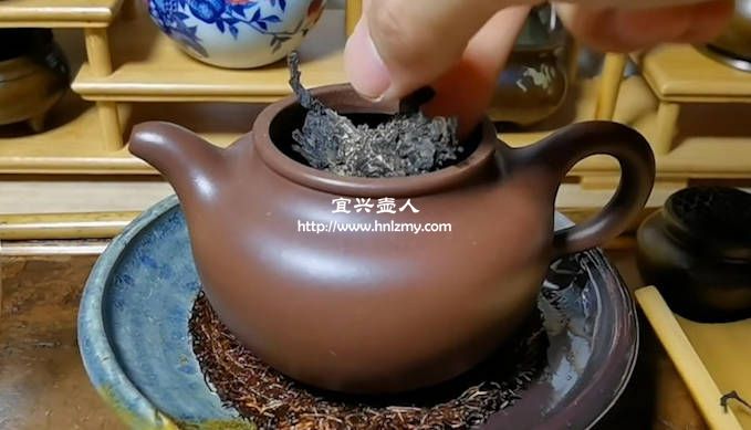 不泡茶的紫砂壺放一把干茶葉