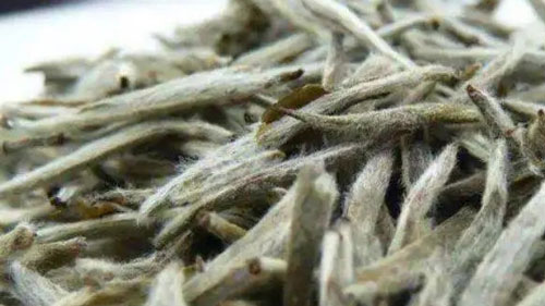 茶葉上有白色絨毛可以喝嗎