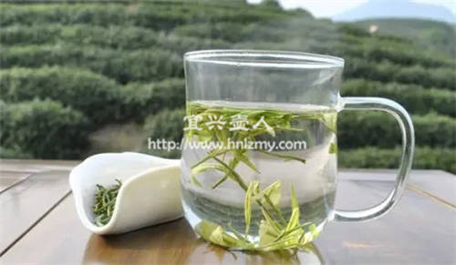 白茶用什么紫砂壺泡最好