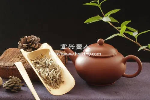 白茶用什么紫砂壺泡最好