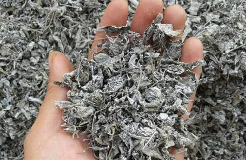 茶葉上有白色絨毛可以喝嗎