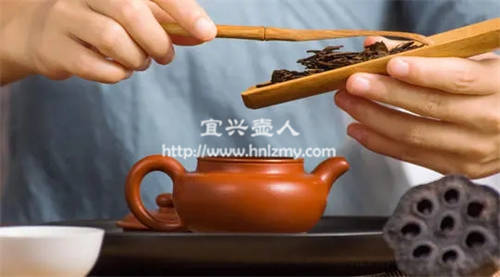 生普和熟普用什么泥料紫砂壺