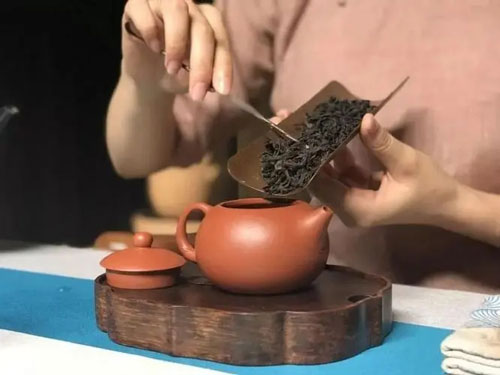 紫砂壺泡什么茶比較好