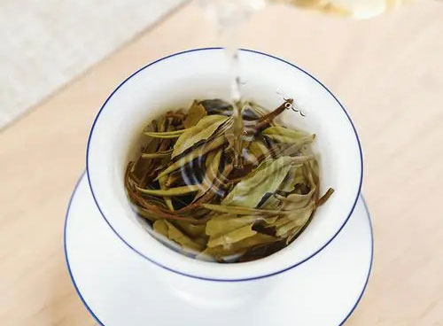 白牡丹用紫砂壺泡好嗎2