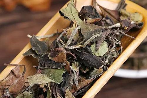 福鼎白茶能用紫砂壺泡嗎1