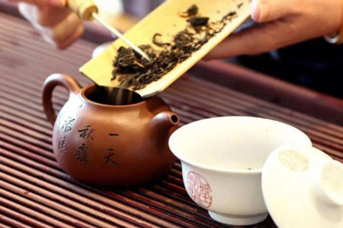 紫砂壺開壺可以用白茶嗎