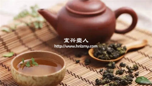 紫砂壺適合泡什么茶最好